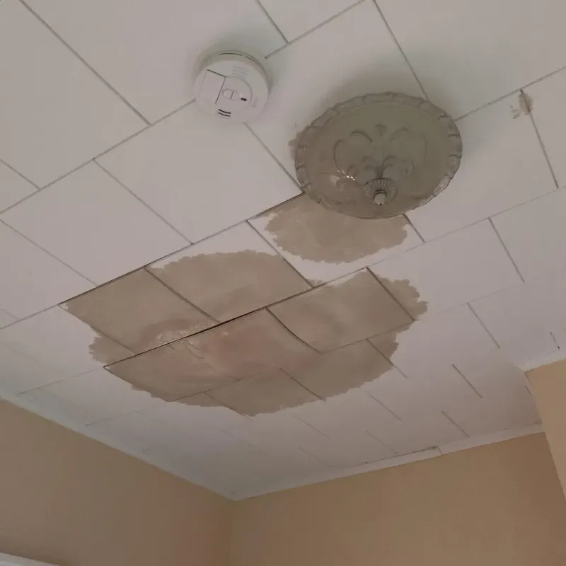 Ceiling Water Damage Repair in Lower Burrell, PA