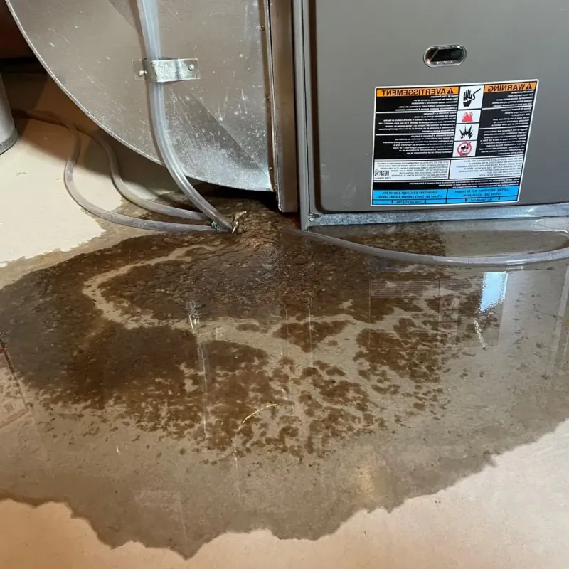 Pipe Burst and Leak Restoration in Lower Burrell, PA
