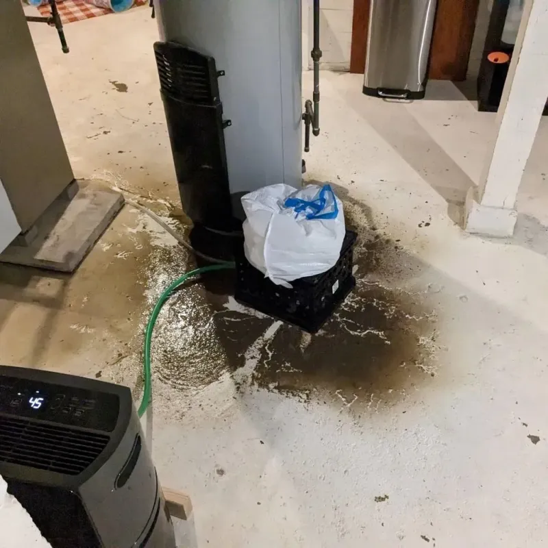 Sewage Backup Cleanup Service in Lower Burrell, PA